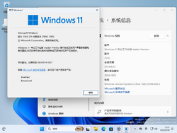 Windows 11-10.0.25941.1000-Version.png