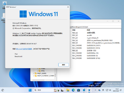 Windows 11-10.0.25951.1010-Version.png