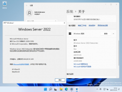 Windows Server 2025-10.0.22509.1000-Version.png