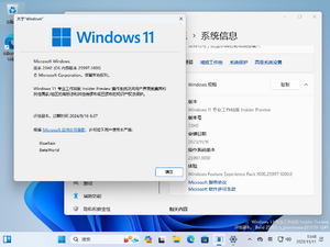 Windows 11-10.0.25997.1000-Version.png