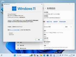 Windows 11-10.0.23585.1001-Version.png