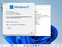 Windows 11-10.0.26052.1100-Version.png