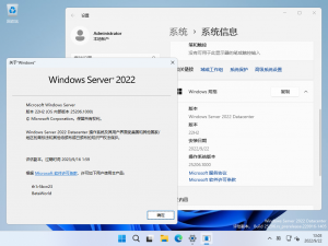 Windows Server 2025-10.0.25206.1000-Version.png