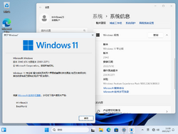 Windows 11-10.0.22631.2271-Version.png