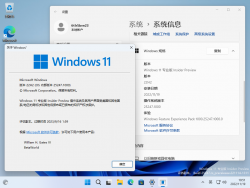 Windows 11-10.0.25247.1000-Version.png