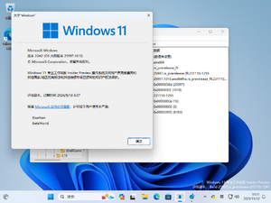 Windows 11-10.0.25997.1010-Version.png