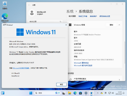 Windows 11-10.0.23541.1000-Version.png