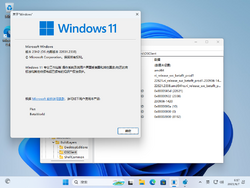 Windows 11-10.0.22631.2338-Version.png
