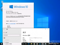Windows 10-18956.1000-Pro-BWDB Version.png